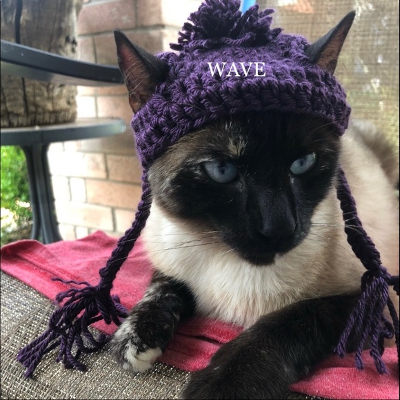 🐈‍⬛🐈😻matching beanie for your cat😽😸pom&braids - Picture 3 of 12